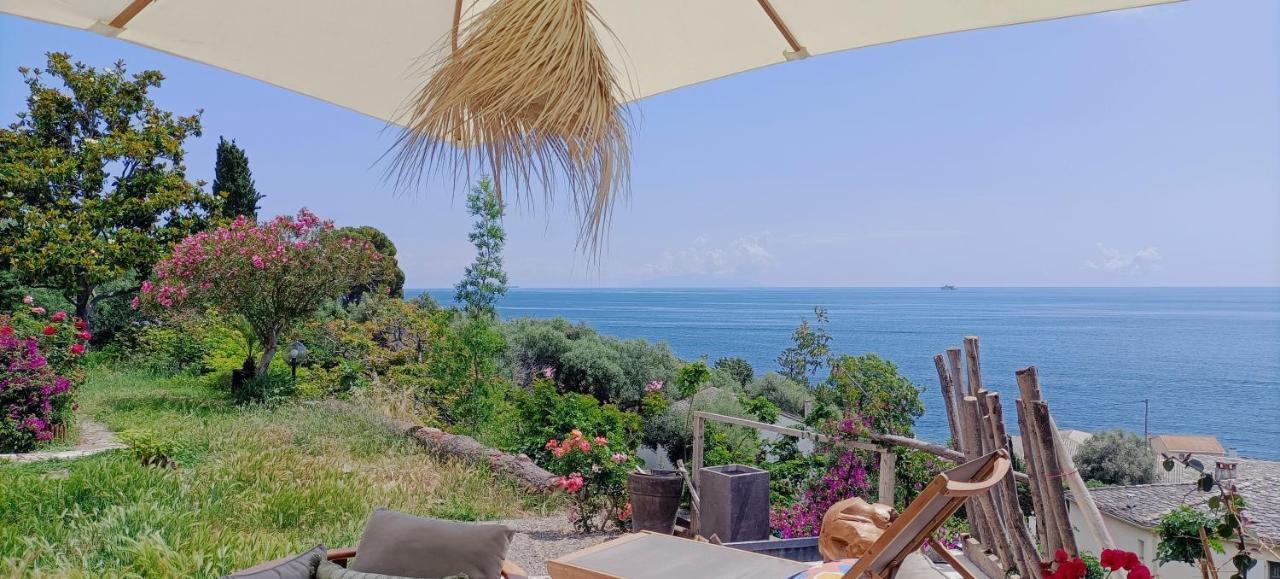 Villa Magnolia Santa-Maria-di-Lota Extérieur photo